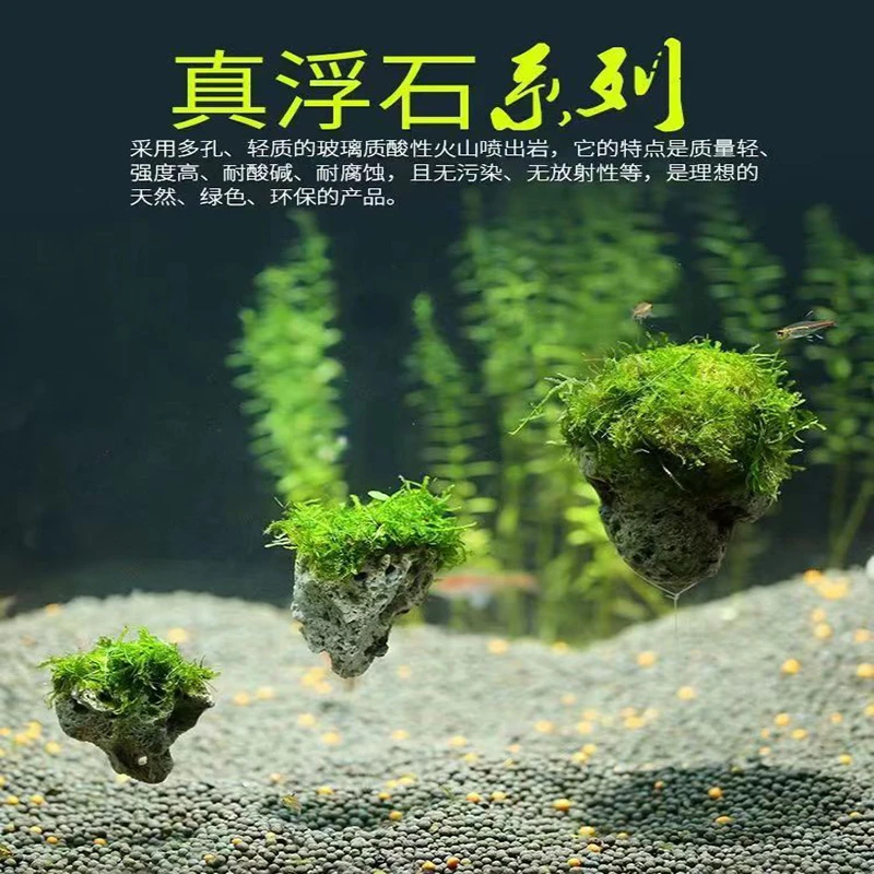 水草造景石头悬浮鱼缸水培植物斗鱼孔雀鱼小米鱼缸孔雀莫斯水草