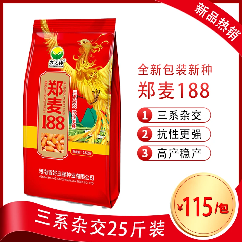 【三系杂交小麦高产高抗品种】郑麦188小麦种子优质河南高产