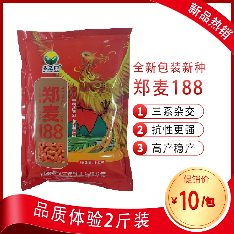 【三系杂交高产高抗品种】郑麦188小麦种子 免费送名额联系客服