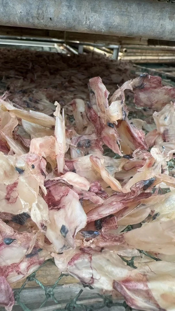 甲子淡嗮小鱿鱼筒500g