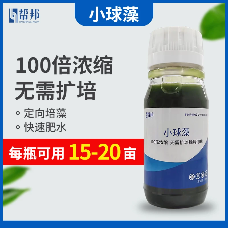 小球藻 帮邦水产 水产动保