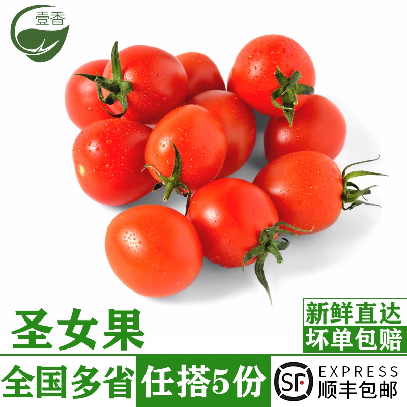 新鲜圣女果450g 樱桃小番茄生吃沙拉食材应季新鲜蔬菜水果