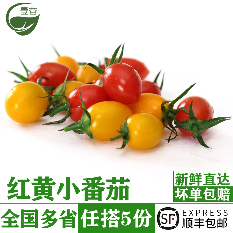 新鲜红黄小番茄450g 圣女果彩色小西红柿樱桃番茄生吃沙拉食材