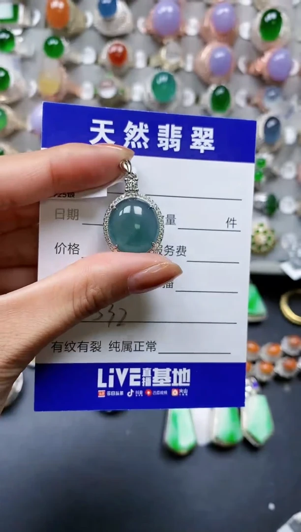 【闪购商品】翡翠颈饰银S925镶嵌0532