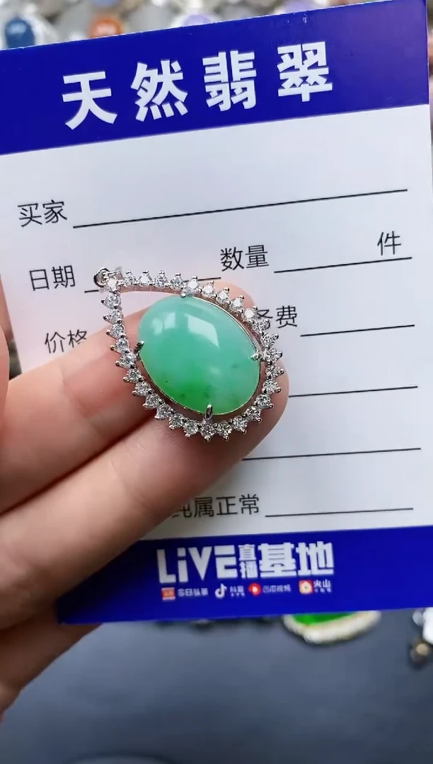 【闪购商品】翡翠颈饰银S925镶嵌0494