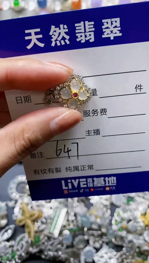 【闪购商品】翡翠颈饰银S925镶嵌0647