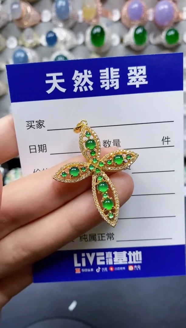 【闪购商品】翡翠颈饰银S925镶嵌0495