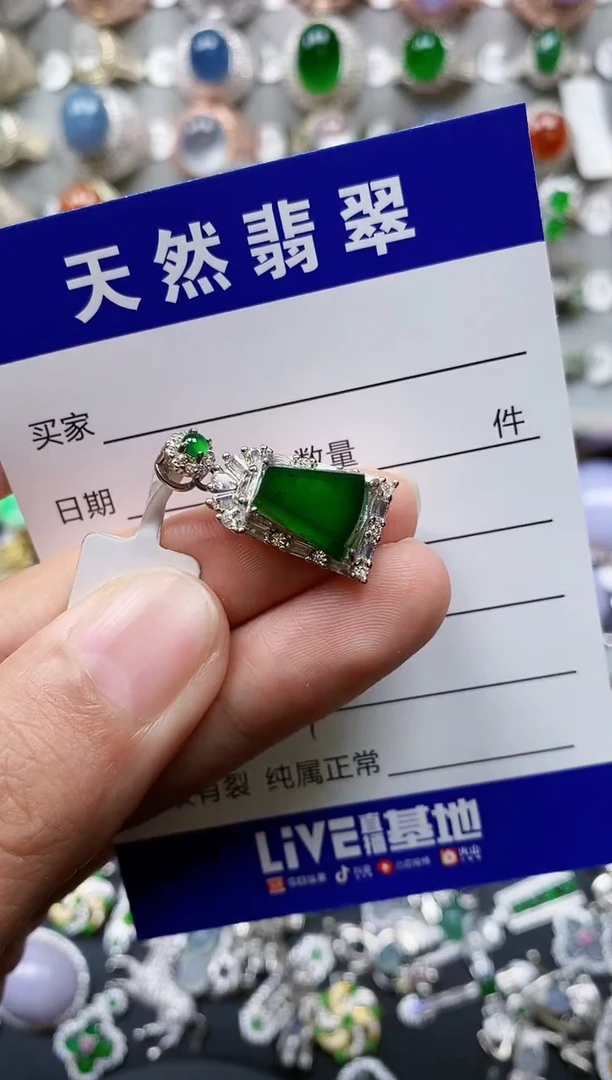 【闪购商品】翡翠颈饰银S925镶嵌0419