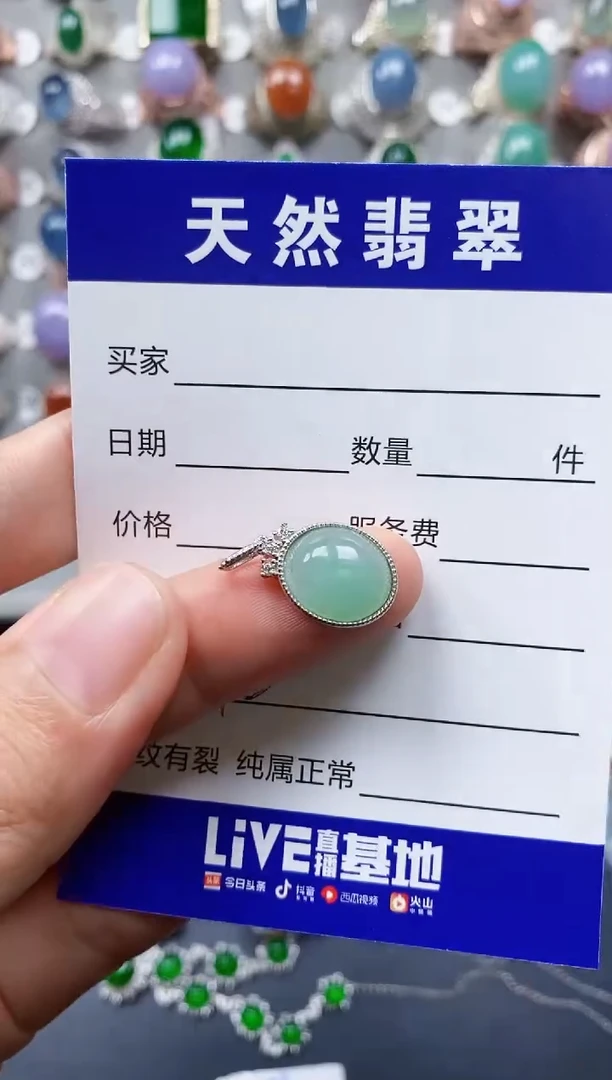 【闪购商品】翡翠颈饰银S925镶嵌0142