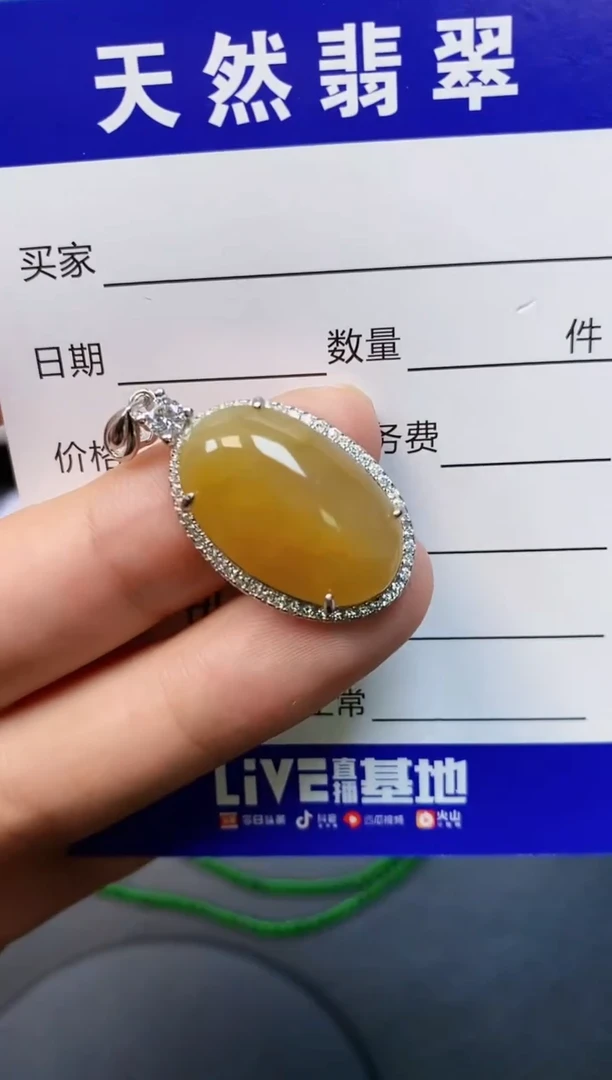 【闪购商品】翡翠颈饰银S925镶嵌0440