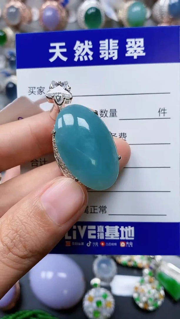 【闪购商品】翡翠颈饰未镶嵌00000173