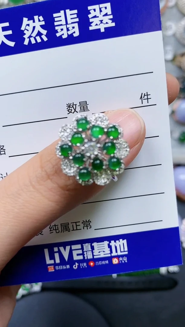 【闪购商品】翡翠戒指银S925镶嵌0616