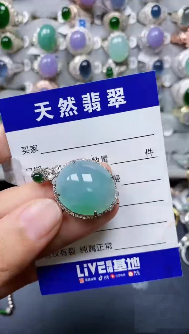 【闪购商品】翡翠颈饰银S925镶嵌0515