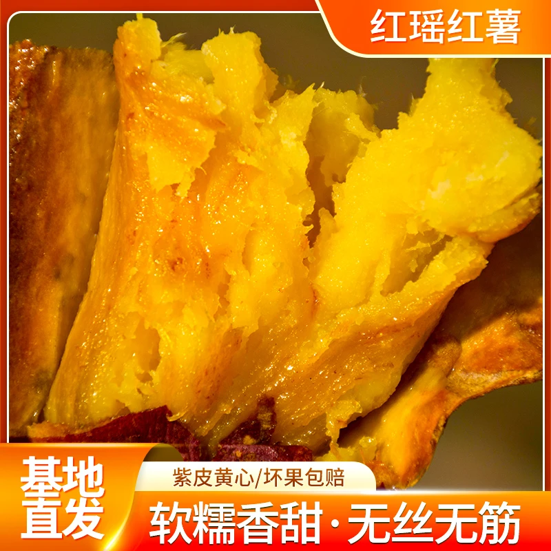 袁小胖高端红瑶红薯软糯香甜黄心番薯山东生态种植产地直发5斤装