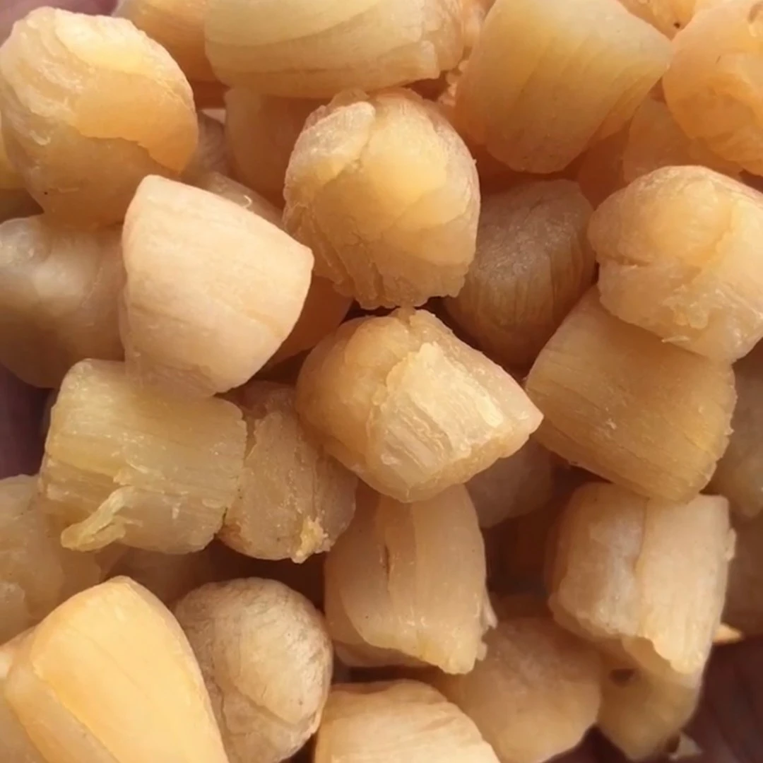 大连精选足干元贝（约200头）