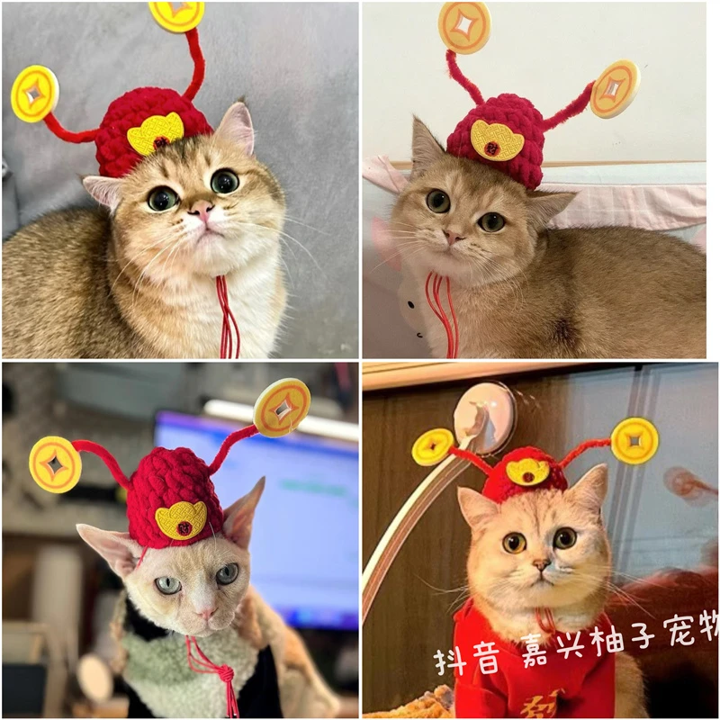 宠物新年元宝帽子猫咪铜钱头饰泰迪狗狗套头拜年装扮财神爷变装帽