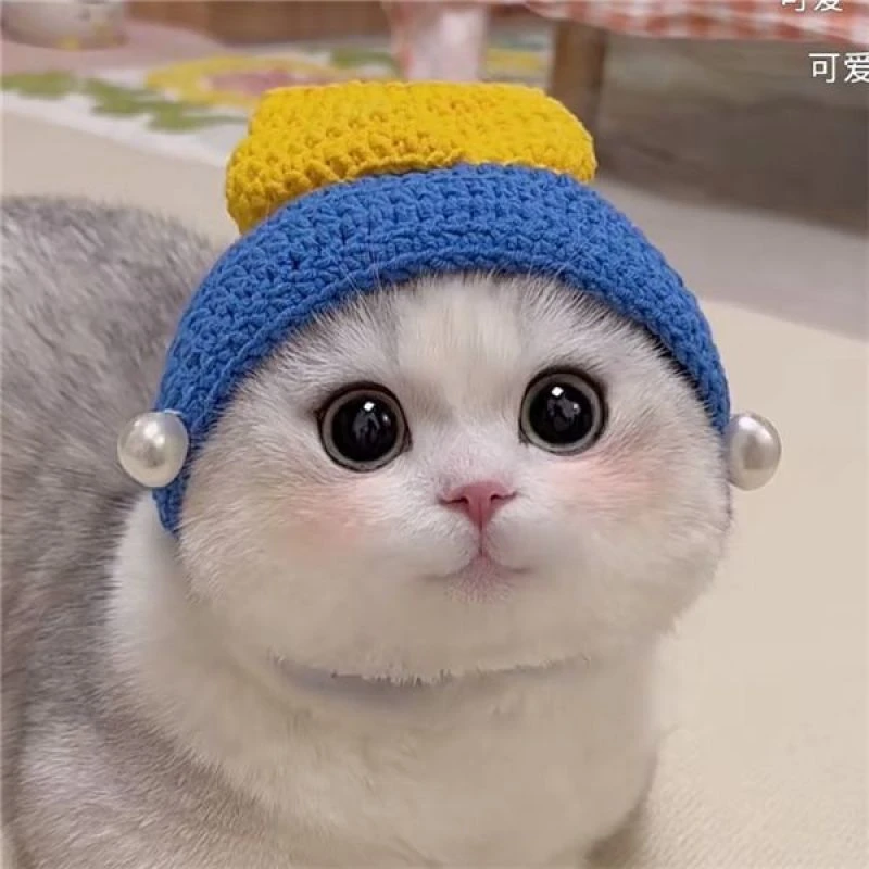戴珍珠的少女猫宠物变装帽猫咪头饰狗狗可爱草莓毛线帽子头套