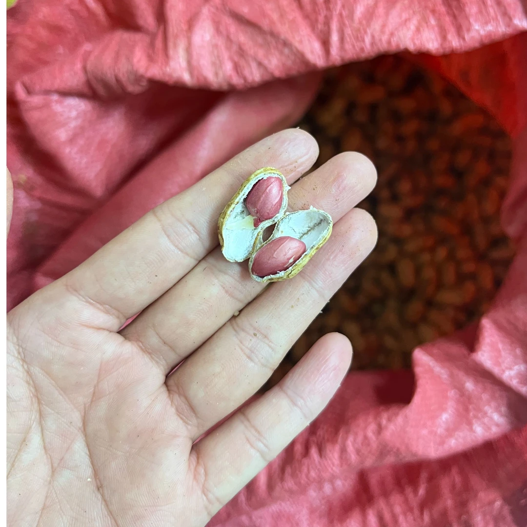 农家红皮花生原汁原味的健康滋味