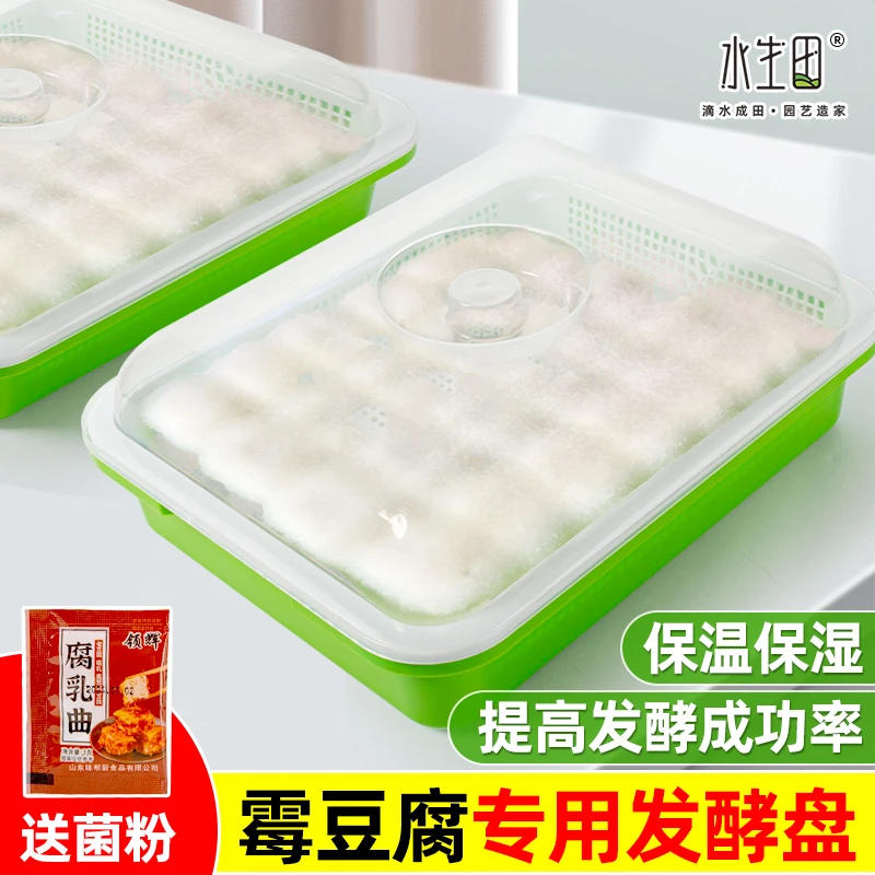 霉豆腐专用发酵盘带盖保湿保温透明家用毛豆腐工具水培豌豆苗育苗