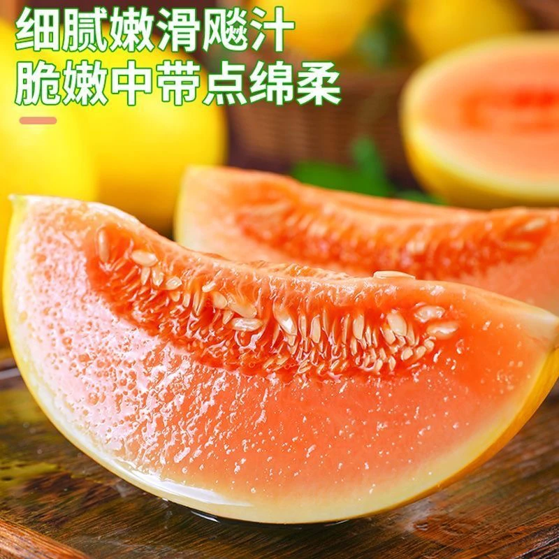 【坏果包赔】民勤沙漠蜜瓜头茬金红宝软糯香甜多汁