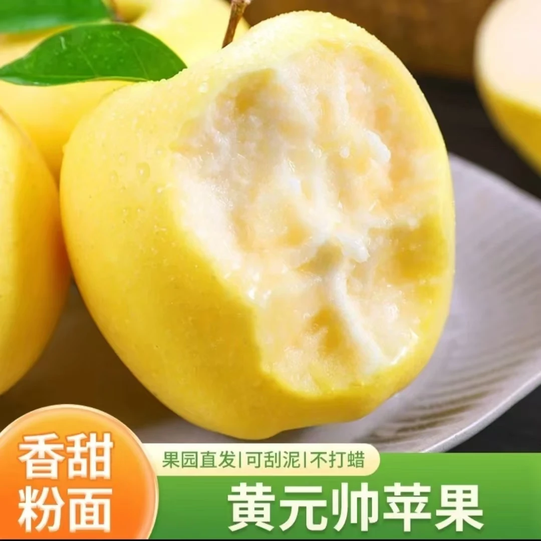 【产地直发】黄元帅苹果产地直发原生态香甜味甜多汁 果味浓郁 成熟现摘