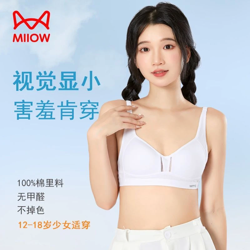 猫人高中生内衣女青春发育期三阶段少女孩初中学生大胸显小文胸罩