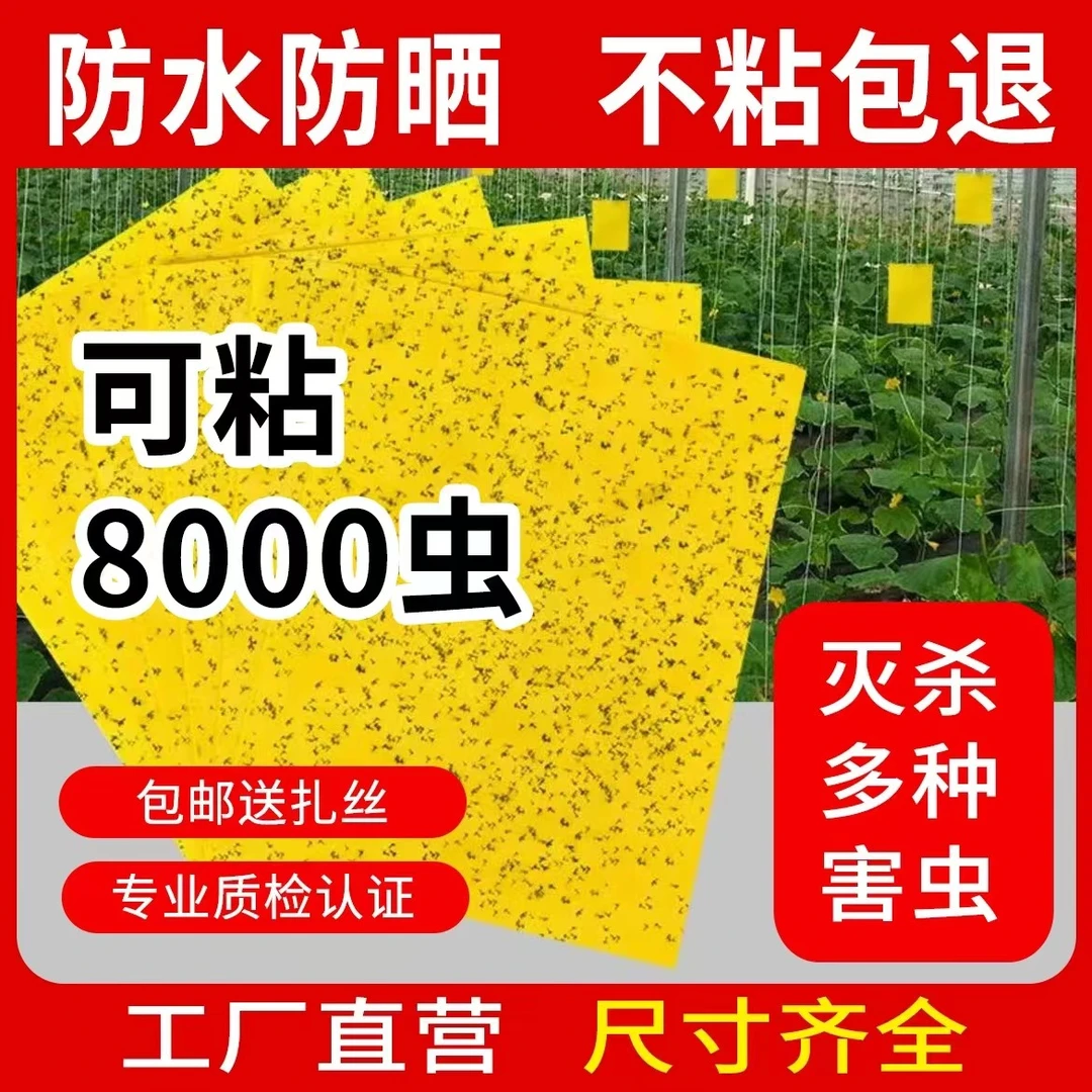 粘虫板大号双面诱虫纸贴防飞虫安全耐用园艺家用防虫板黄板农用