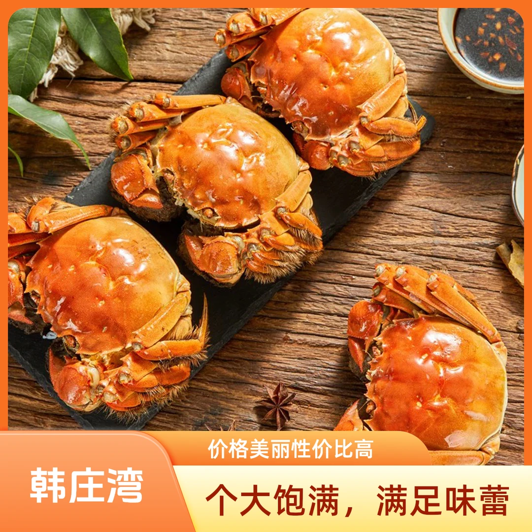 韩庄湾【活蟹】精挑大闸蟹全母蟹2.6-2.3两共40只量贩装无礼盒顺丰