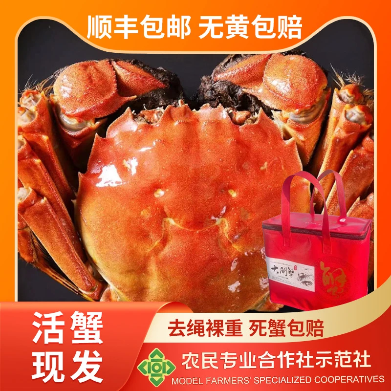 【助农微山湖】活蟹精挑大闸蟹公蟹3.9-4.1两+母蟹2.9-3.1两5+5只
