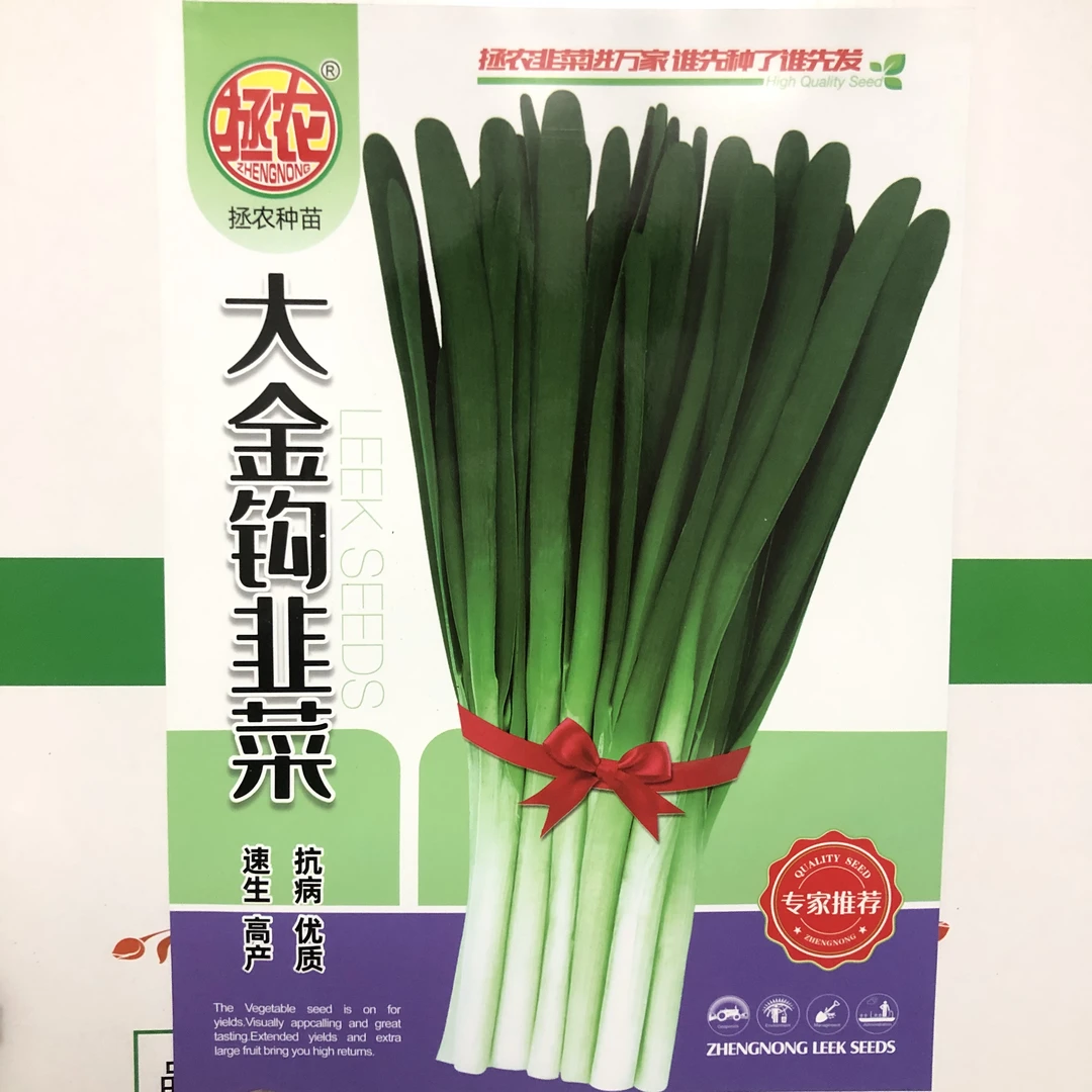 大金钩休眠韭菜种子,抗倒伏能力强,不易干尖