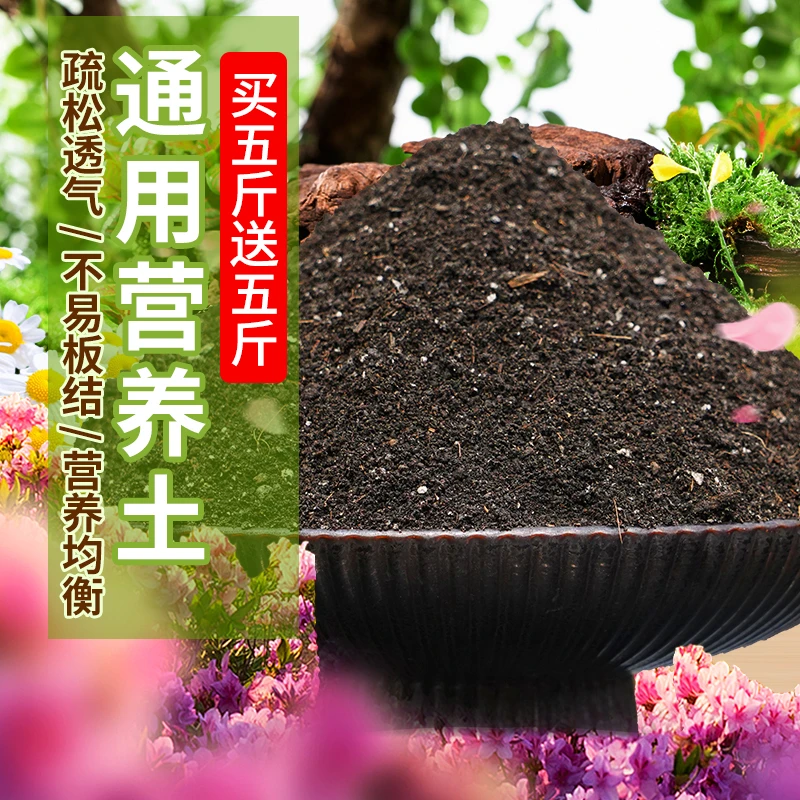 精选配方有机营养土园艺栽培三角梅阳台太阳花种植种菜土绿植盆栽