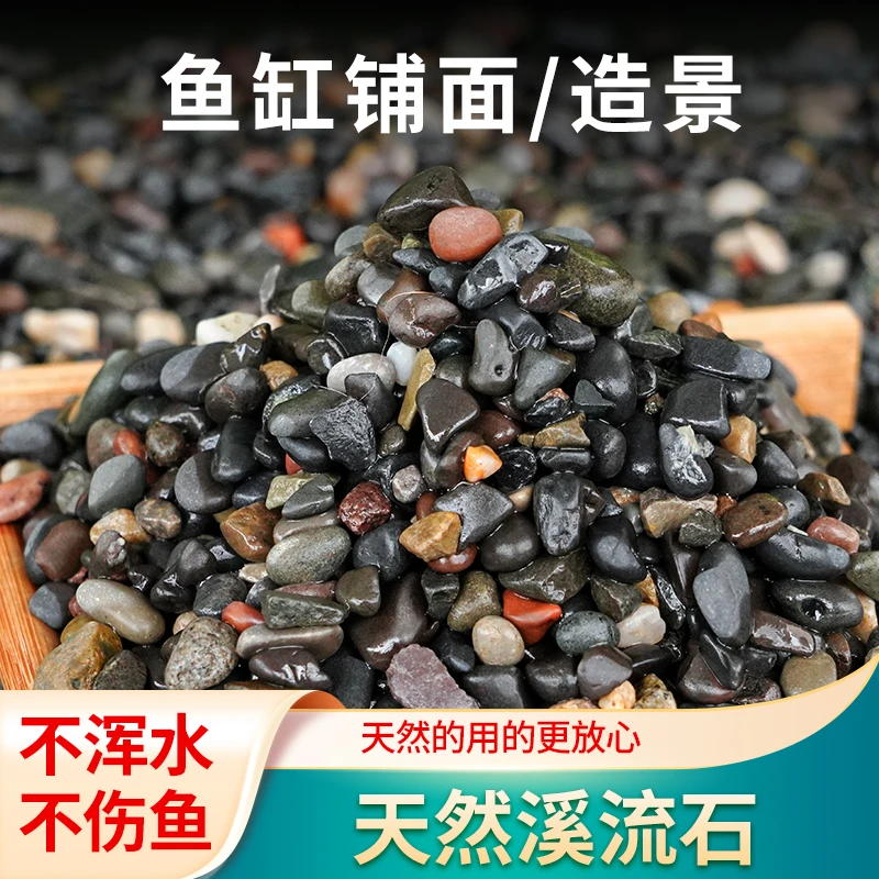溪流石沙鱼缸底砂原生乌龟缸耐磨石沙天然摆件水族箱铺底干湿两用