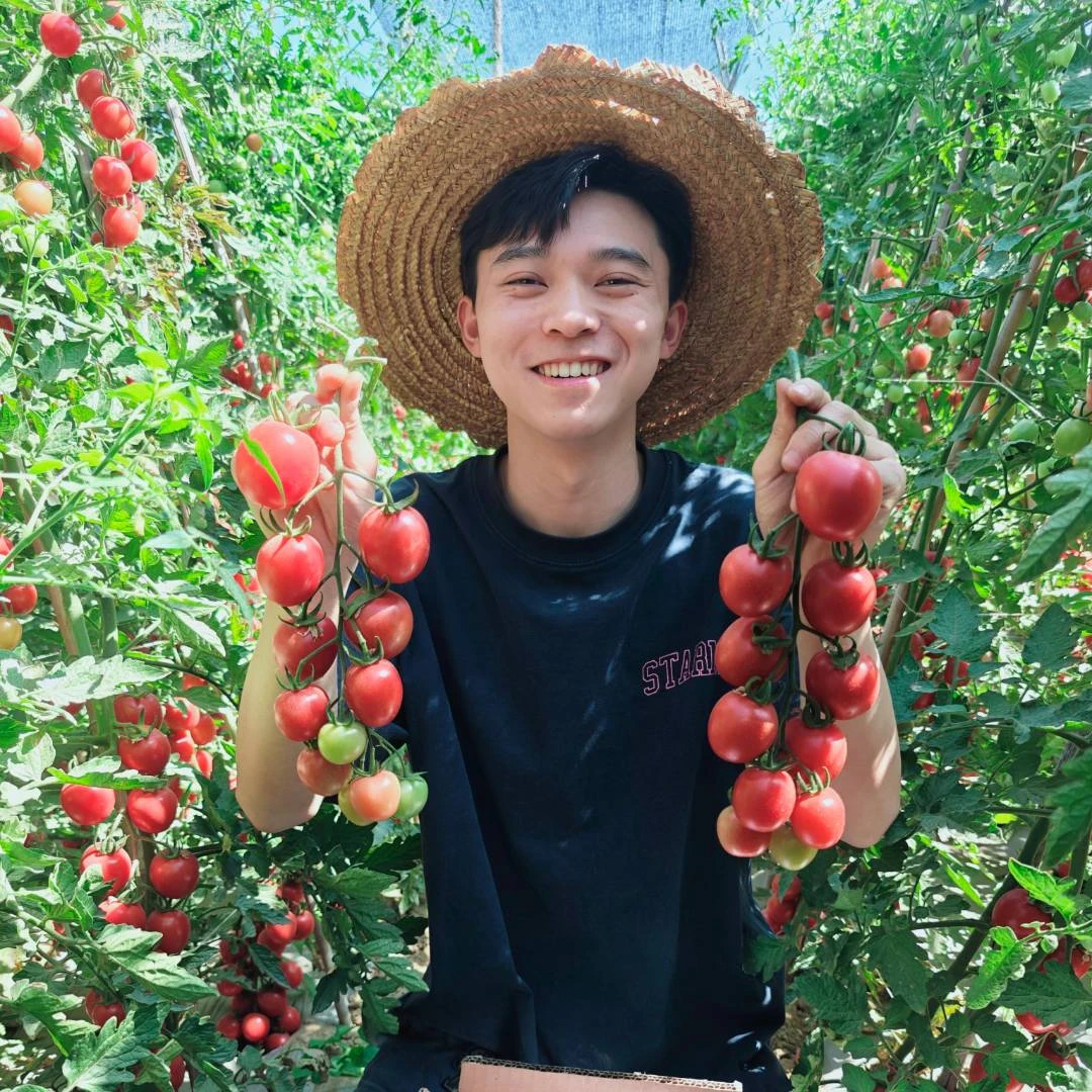 【顺丰包邮】千禧果四川攀枝花露天自然成熟皮薄爆汁甜贝贝新鲜