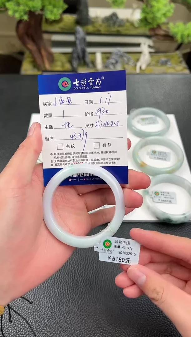 【闪购商品】翡翠手镯未镶嵌春彩