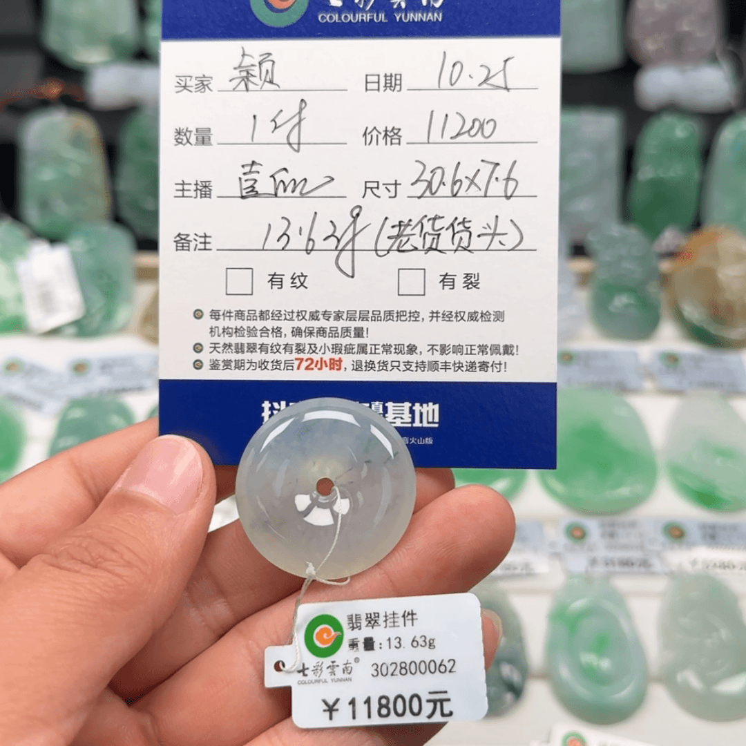 【闪购商品】翡翠颈饰未镶嵌颖