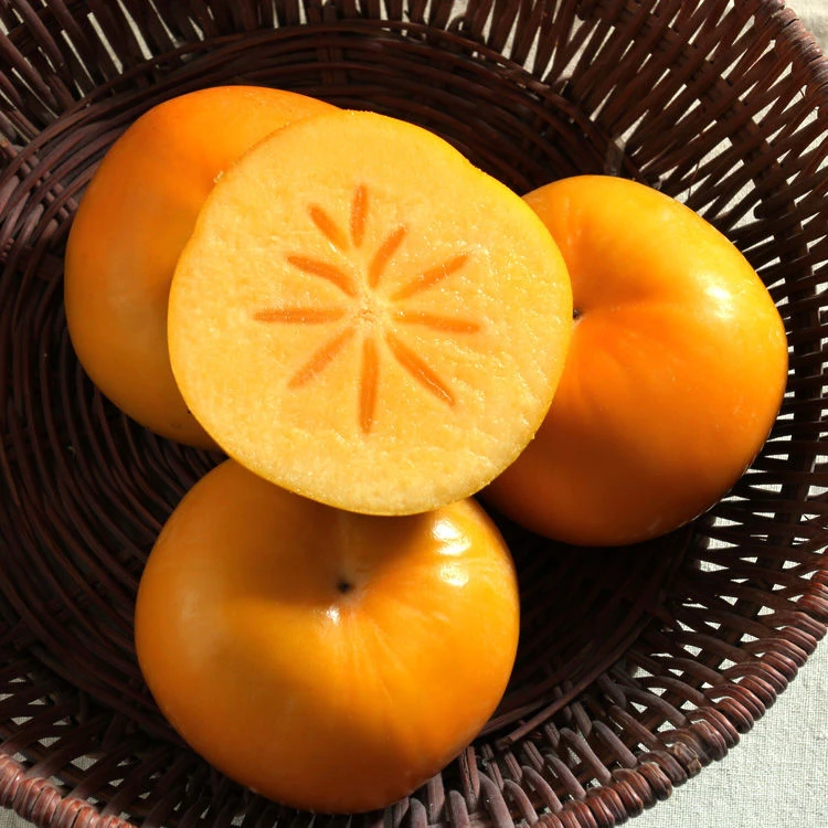 【坏果包赔】正宗脆甜柿子阳丰脆柿2/5斤整箱包邮应季水果不涩口