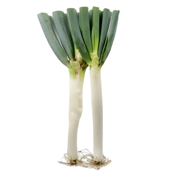 【五泉精选】新鲜山东大葱约150g