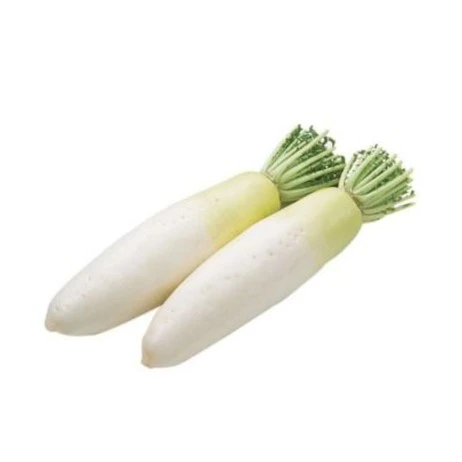 【五泉精选】白绿萝卜约1000g