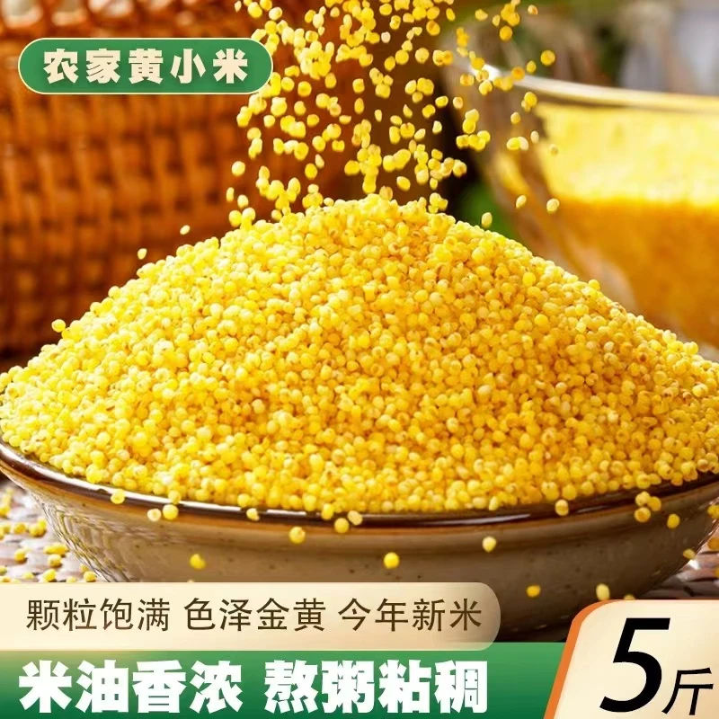 黄小米农家小米高山种植颗粒食用饱满金黄米香养胃香甜自然熬粥