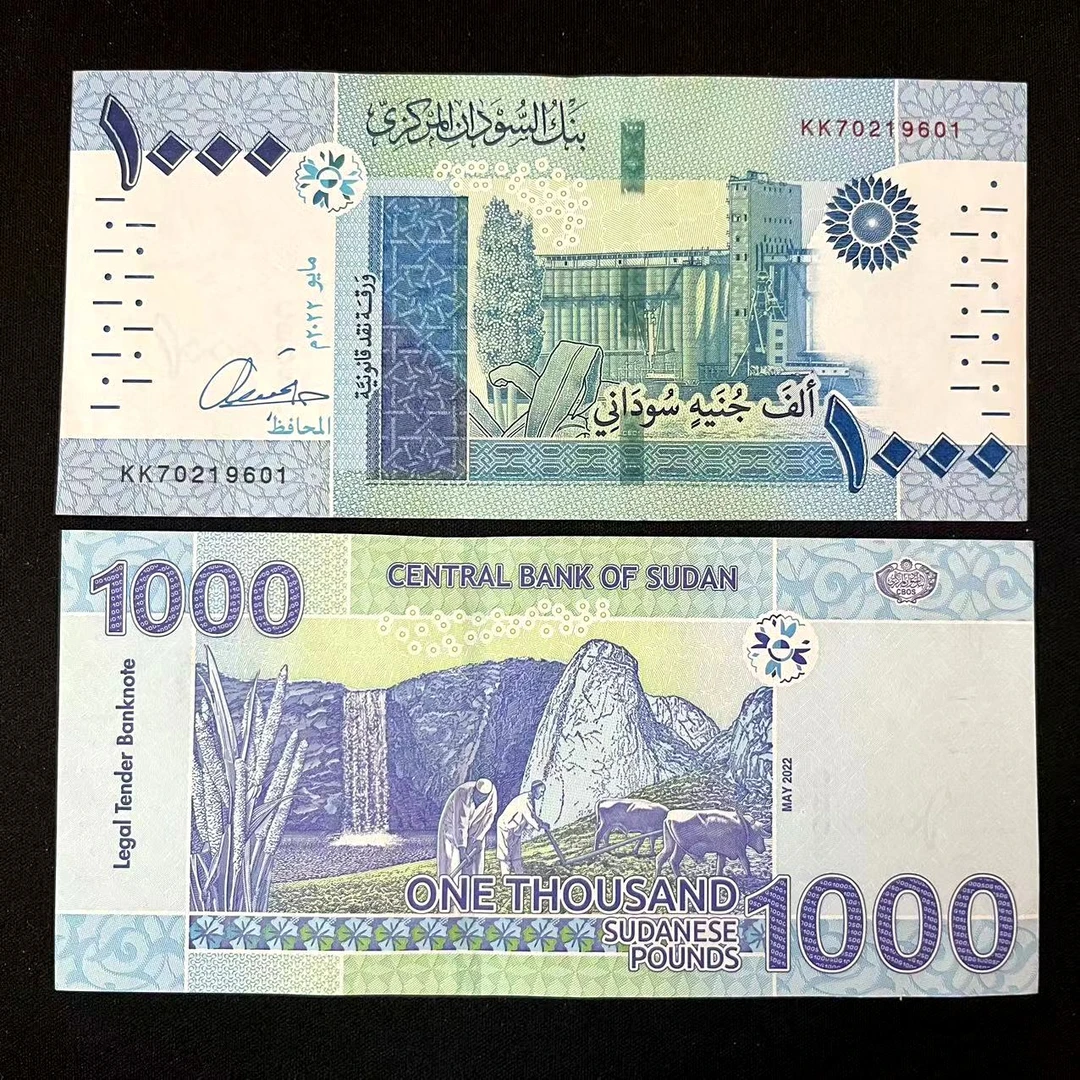 非洲 苏丹1000镑纸币2022年P-81全新UNC外国钱币收藏 高粱