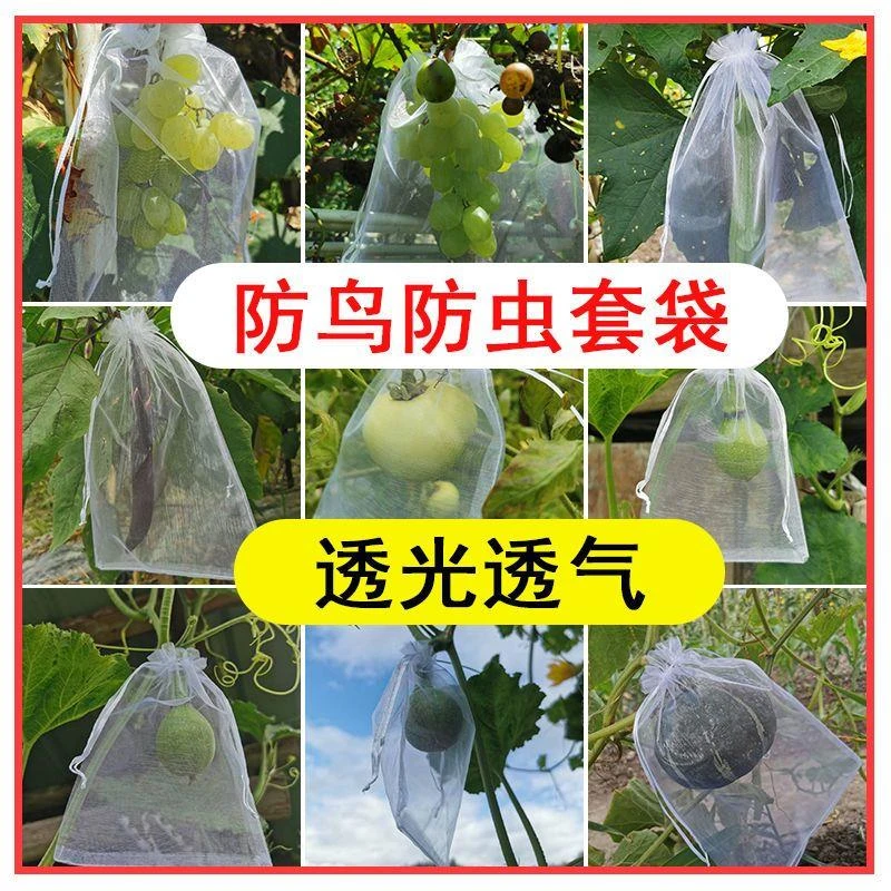 套果袋尼龙网袋葡萄套袋子防鸟网防虫水果防虫网袋草莓透气专用袋