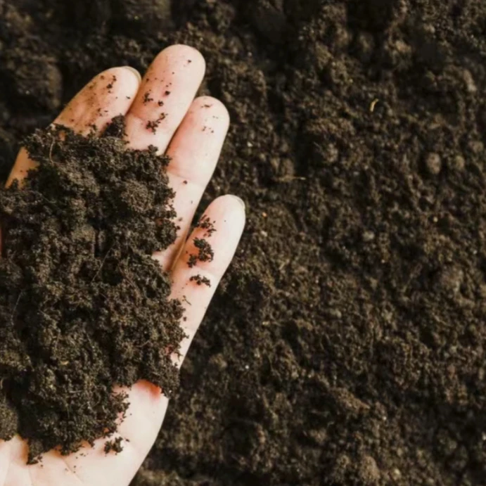三角梅专用土 基地自制腐熟有机肥一斤 随花发货