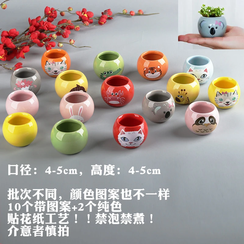 【到手12个】拇指多肉花盆小号卡通可爱迷你组合陶瓷现代套装纯色