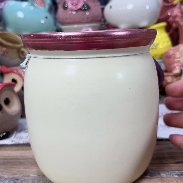 陶瓷20CM以下陶瓷花盆特价上新