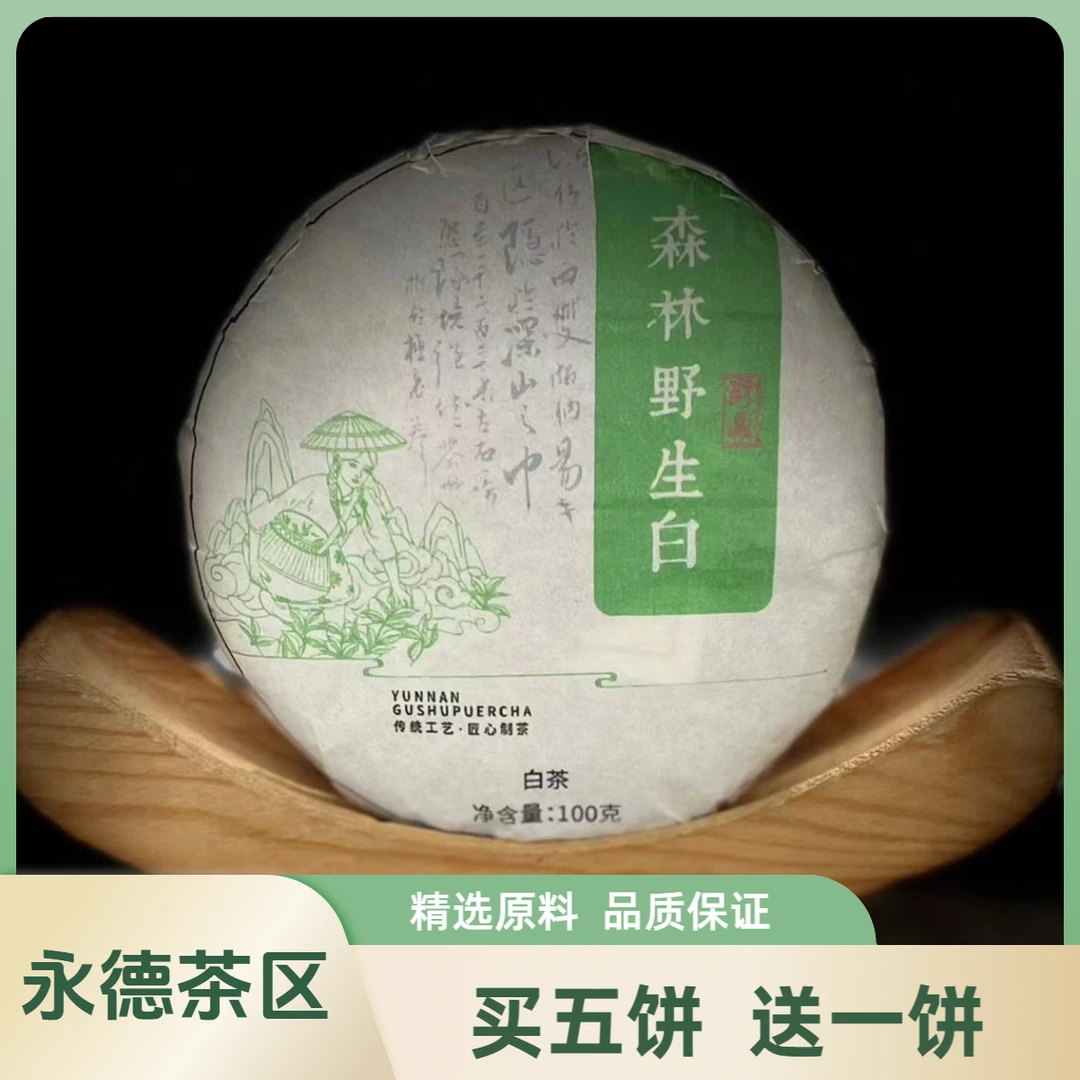 【村长】163张和清2024年永德森林野生白茶100g饼12-10.20【1提+1饼】