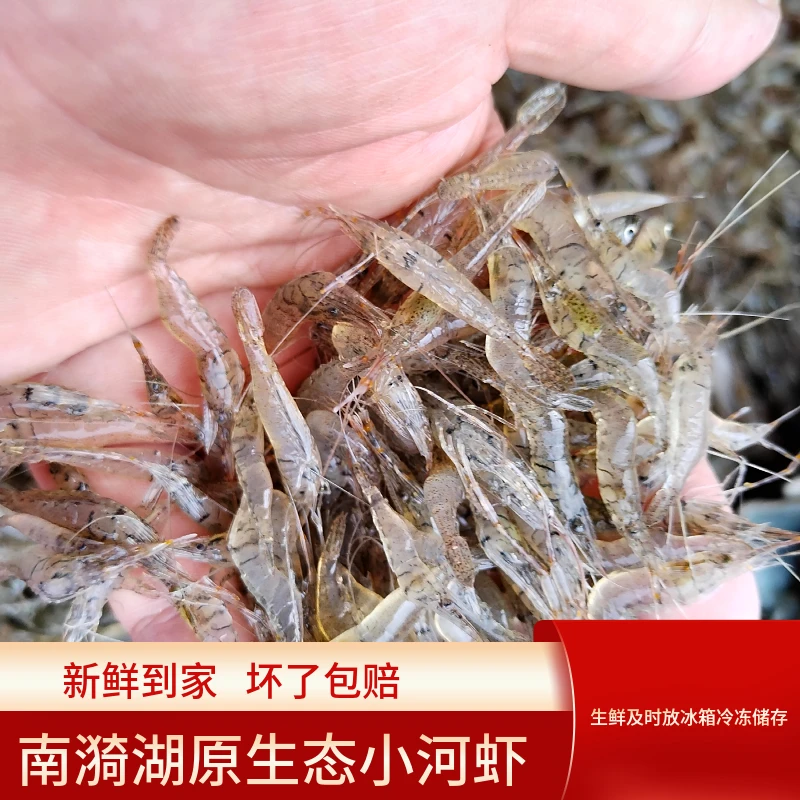 徽凌安徽宣城小河虾鲜活速冻淡水小虾米小白虾小现捕发出包邮河虾