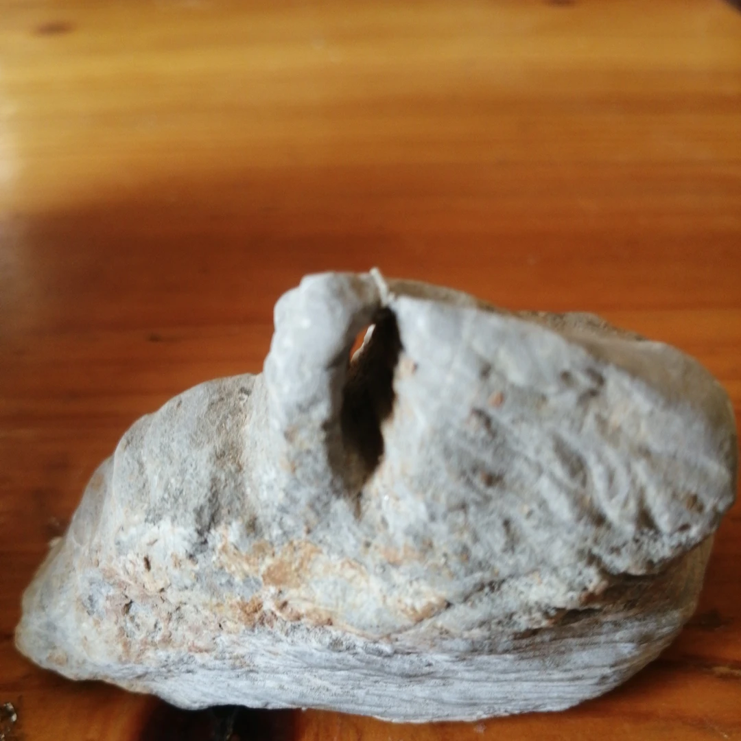 灵璧石摆件仅供直播间参拍，链接下单随机发货不包邮
