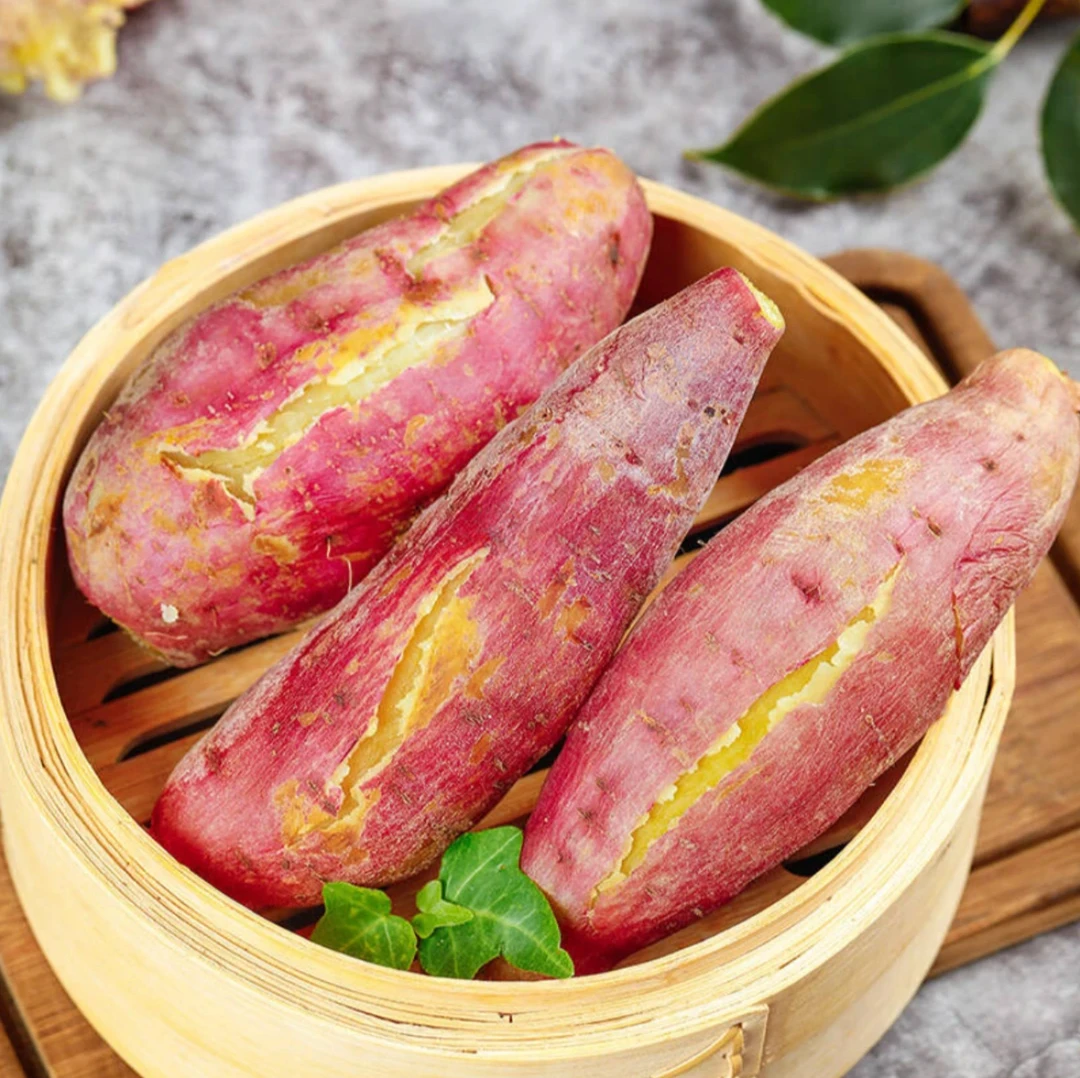 正品沙地黄心板栗红薯鸡蛋黄糖心蜜薯先挖先发番薯甜糯软糯批发