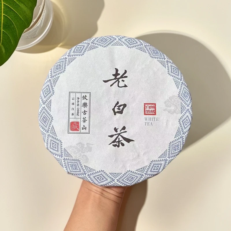 {钰见茶香}攸乐古茶山老白茶