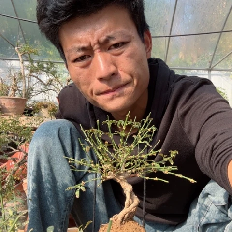 王*这个月就不在哪里